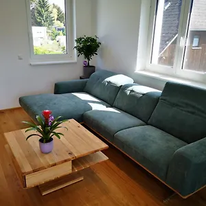 Spacy Next To The Center Of With Terrasse Apartment Graz
